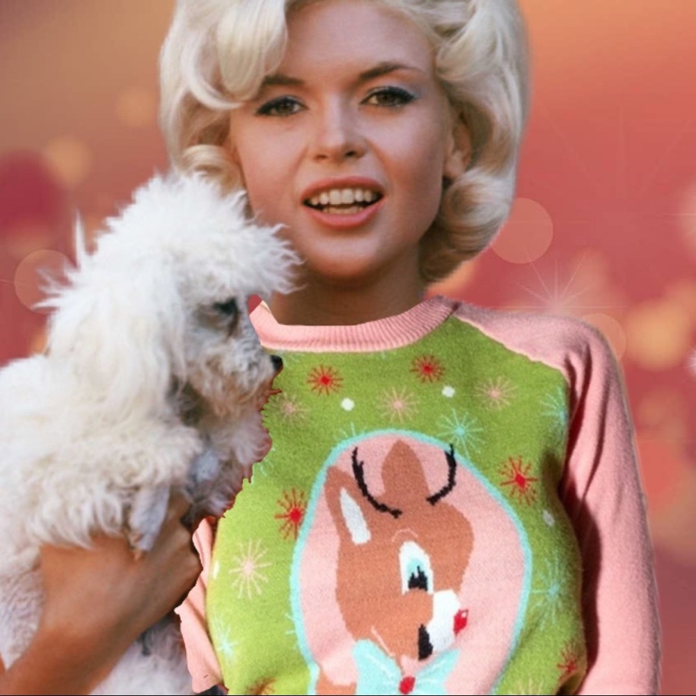 CHRISTMAS SPECIAL DEER SWEATER **READ BELOW** - Picture 8 of 12